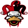 Ducks logo