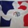 FNG logo